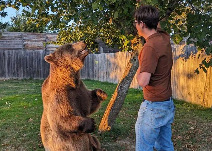 Kemping Cosy Avec Terrasse A - Api-1-52-755 *